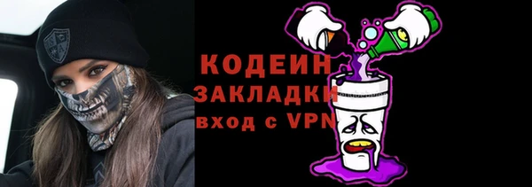 молекула духа Арсеньев