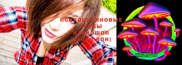 молекула духа Арсеньев