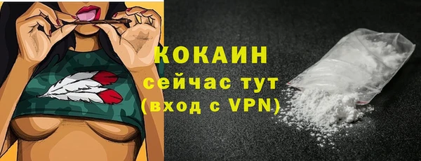 молекула духа Арсеньев