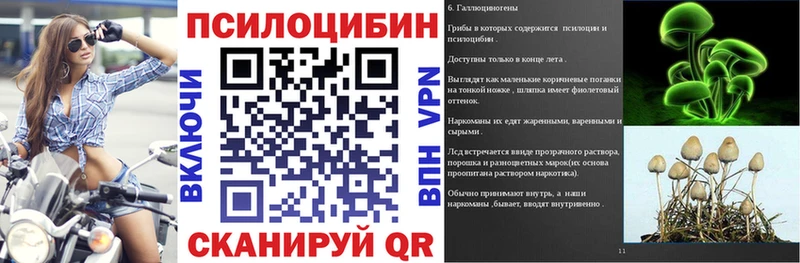 продажа наркотиков  Пыталово  Псилоцибиновые грибы Psilocybe 